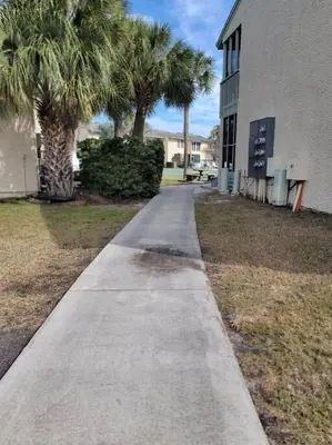 a concrete sidewalk next to a building with palm trees at Gulf Highlands 230 WSD in Panama City Beach