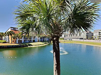 a palm tree in the middle of a pool of water at Edgewater Villa #2112 in Panama City Beach