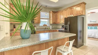 a kitchen with a large plant in a blue vase at Flip Flop Cottage - Great rates and dog friendly with additional pet fee in Santa Rosa Beach