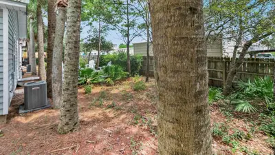 a yard with trees next to a house at Luna Sea - Is a short walk to the beach and close to Seaside in Santa Rosa Beach