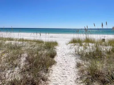 a sandy beach with grass and the ocean at The Coastal Cabana in Panama City Beach