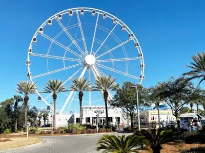 a large ferris wheel in a park with palm trees at The Coastal Cabana in Panama City Beach