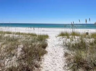 a sandy beach with grass and the ocean at The Coastal Shanty, yards from the beach in Panama City Beach