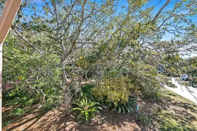 a tree with fruits on it on a hill at Cassine Gardens 212 in Santa Rosa Beach