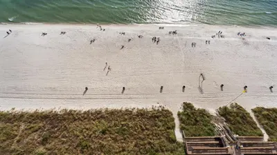 a group of people standing on a beach at Tidewater 1312 in Panama City Beach