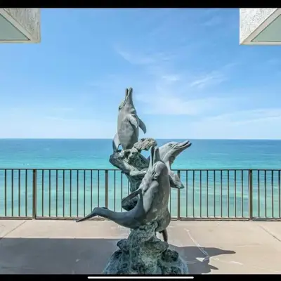 Dancing Dolphins