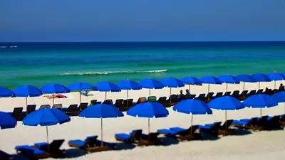 a group of blue umbrellas and chairs on a beach at Ocean Reef 1609 in Panama City Beach