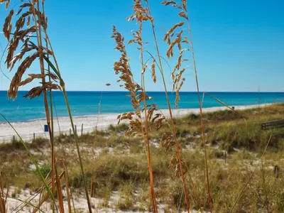 a view of the beach and the ocean at Ocean Reef 1401 in Panama City Beach