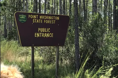 a sign in the middle of a forest at Sonshine by the Sea in Santa Rosa Beach