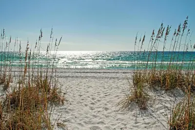 a sandy beach with the ocean in the background at 105 Pelican Circle in Inlet Beach