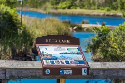 a sign that says deer lake on a wooden fence at Sea Turtle Cottage in Santa Rosa Beach