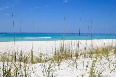 a beach with grass and the ocean in the background at Treasure Palms - Golf Cart- Bikes - Arcade- Peloton- Near Rosemary - Community Pool in Rosemary Beach