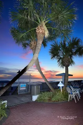 two palm trees on the beach at sunset at Palmetto Beachfront Hotel, a By The Sea Resort in Panama City Beach