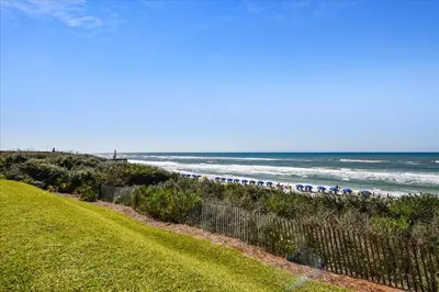 a herd of animals walking along the beach at HP 12W Gulf Front Condo by 30A Escapes in Rosemary Beach