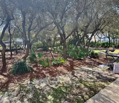 a park with trees and plants and a bench at Inlet Dunes #102 in Inlet Beach