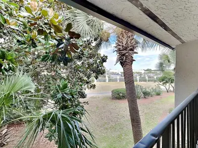 a palm tree on a balcony with a view of a yard at Edgewater Villa #1607 in Panama City Beach