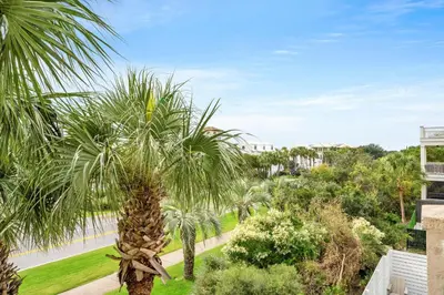a palm tree in the middle of a park at Stunning Village Condo, Overlooking 30A, Beautifully Decorated Recently Updated in Rosemary Beach