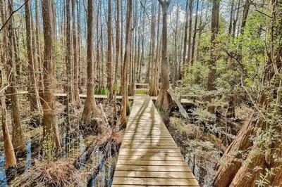 a wooden bridge in the middle of a forest at Cassine Gardens by Panhandle Getaways in Santa Rosa Beach