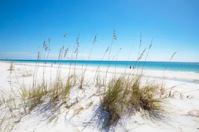 a beach with tall grass in the sand and the ocean at Gulf-Front Shores of Panama Condo w/ Balcony & Resort Amenities in Panama City Beach