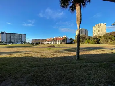 a palm tree in a field with buildings in the background at Edgewater Villa 0608 'Sunny by the Sea' in Panama City Beach