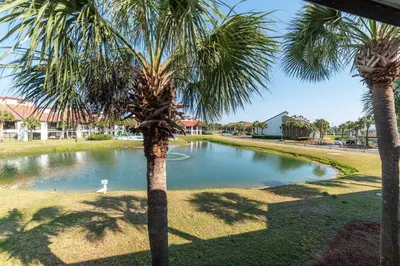 two palm trees and a duck in a pond at Edgewater Villa 1105 'Villa Ardea' in Panama City Beach