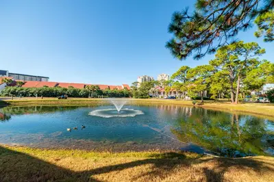 a pond in a park with ducks in the water at Edgewater Villa 3005 'Paradise Palms' in Panama City Beach