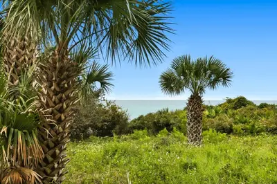 two palm trees in a field with the ocean in the background at One Seagrove Place 0804 in Santa Rosa Beach