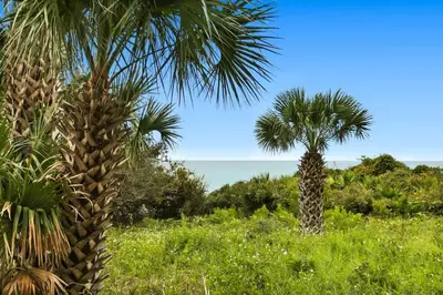two palm trees in a field of grass at One Seagrove Place 1008 in Santa Rosa Beach