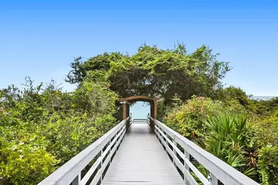 a wooden boardwalk leading to a tunnel in the middle of plants at One Seagrove Place 1603 in Santa Rosa Beach
