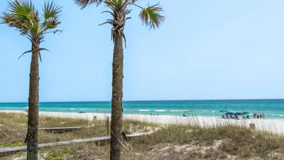 a group of palm trees on the beach at Bahama West by Panhandle Getaways in Panama City Beach