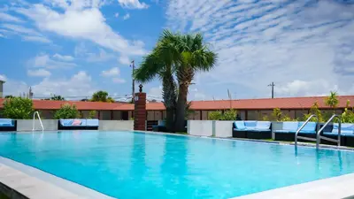 a large swimming pool with a palm tree and a building at Banana Peel Lodge in Panama City Beach
