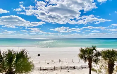 a view of a beach with palm trees and the ocean at Pelican Walk 308 in Panama City Beach