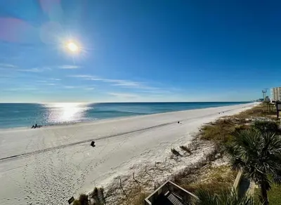 a view of a beach with palm trees and the ocean at Pelican Walk 406 in Panama City Beach
