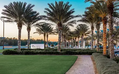 a row of palm trees in a park at 94 Pinecrest by Oversee 30A in Inlet Beach