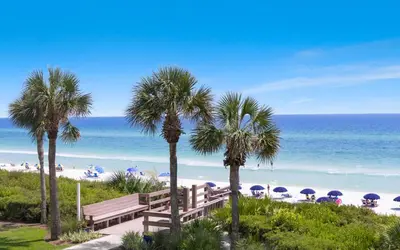 a beach with benches and palm trees and the ocean at Palms of Seagrove A8 by Oversee 30A in Santa Rosa Beach