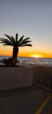 a palm tree in front of the ocean at sunset at ON THE BEACH! COUPLES GETAWAY,HONEYMOON SWEET, Perfectly Cozy Beach Front Condo, full kitchen, pool, free parking,CHECK-IN AT DOOR in Panama City Beach