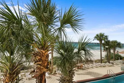 a group of palm trees next to a beach at Calypso 203 1 Bedroom Gulf Front in Panama City Beach