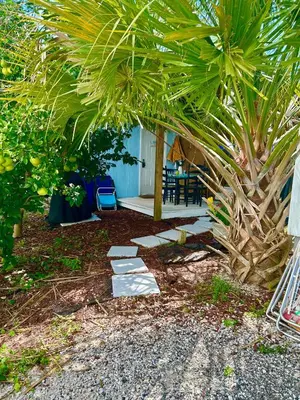 a garden with a palm tree and a patio at Beachy Bungalow, Santa Rosa Beach, FL near Gulf in Santa Rosa Beach