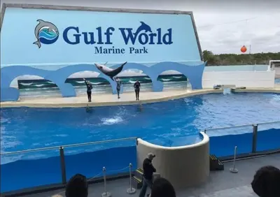 a sign for the gulf world marine park with people in the water at Aqua 203 in Panama City Beach