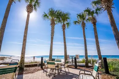 a group of chairs and palm trees at the beach at Grand Panama 1508 in Panama City Beach