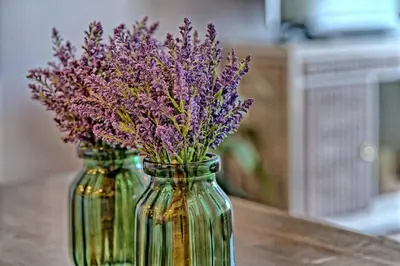 two vases filled with purple flowers on a table at Sterling Breeze 1506 in Panama City Beach