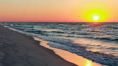 a sunset on the beach with a bird flying over the ocean at 448 Beach Bike Way in Rosemary Beach