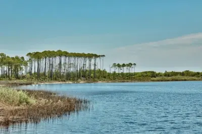a large body of water with trees in the background at NEW Pool 4 BDR Golf Cart in Inlet Beach