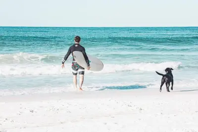 a man with a surfboard and a dog on the beach at NEW Pool 4 BDR Golf Cart in Inlet Beach