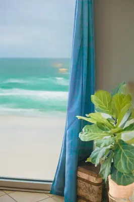 a window with a blue curtain and a potted plant at Seaview Studio at Top of the Gulf #823 by Nautical Properties in Panama City Beach