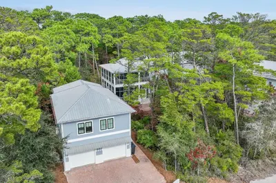 an overhead view of a house in the woods at 30A Caspian Blue Cottage in Seacrest