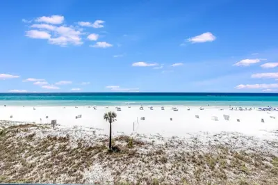 a beach with a palm tree and the ocean at Sunbird 407E - Pearl Gulf Getaway - Sleeps 4 in Panama City Beach