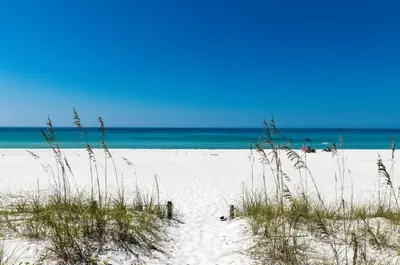 a sandy beach with grass and the ocean in the background at Origin 1032 - One Bedroom - Pool and Gulf Views by Beach Haven Vacation Rentals in Panama City Beach