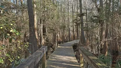 a wooden path through a forest with trees at Walking on Waves in Santa Rosa Beach
