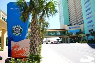 a palm tree on the side of a street at Emerald Beach 325 in Panama City Beach
